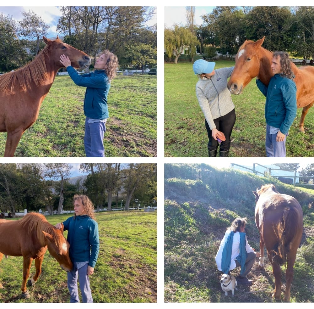 Master Richard is working to help horses emotionally and physically.